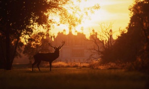 Confiez-nous votre recherche