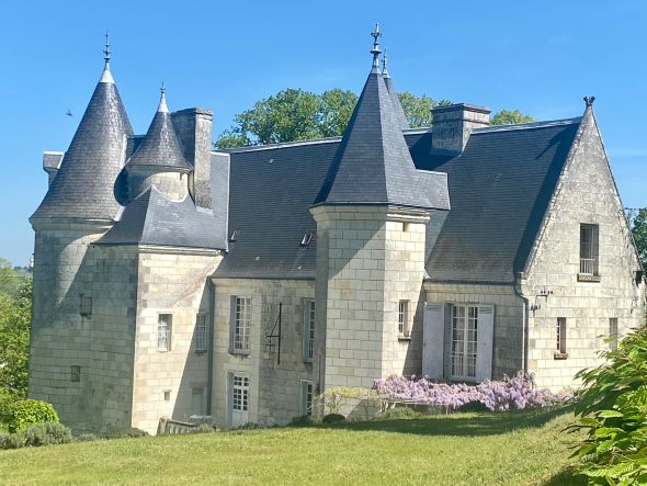 Sale Castle Ciran 28&nbsp;Rooms 725&nbsp;m²