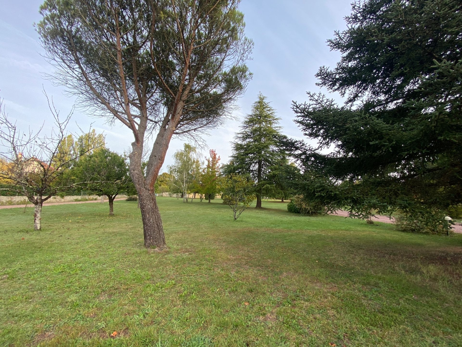 architect's house 12 Rooms for sale on FONDETTES (37230)