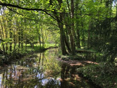 Sale Castle Meung-sur-Loire 15&nbsp;Rooms 530&nbsp;m²