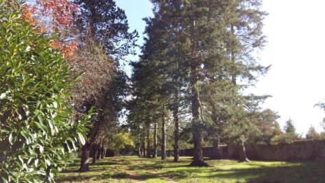 Vente Propriété de chasse Lailly-en-Val 10&nbsp;Pièces 450&nbsp;m²