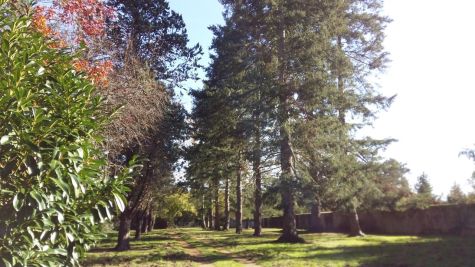 Sale Hunting estate Lailly-en-Val 10&nbsp;Rooms 450&nbsp;m²