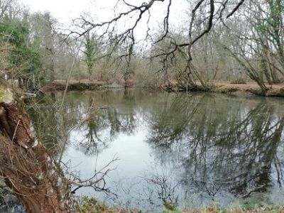 Vente Propriété de chasse Lailly-en-Val 10&nbsp;Pièces 450&nbsp;m²