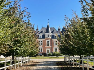 Vente Château Cheverny 16&nbsp;Pièces 520&nbsp;m²