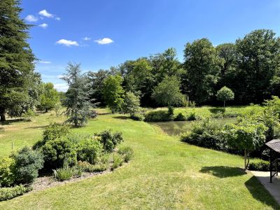 castle 16 Rooms for sale on CHEVERNY (41700) Sale Castle Cheverny 16 Rooms 520 m²