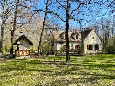 Vente Maison Ligny-le-Ribault 7&nbsp;Pièces 195&nbsp;m²