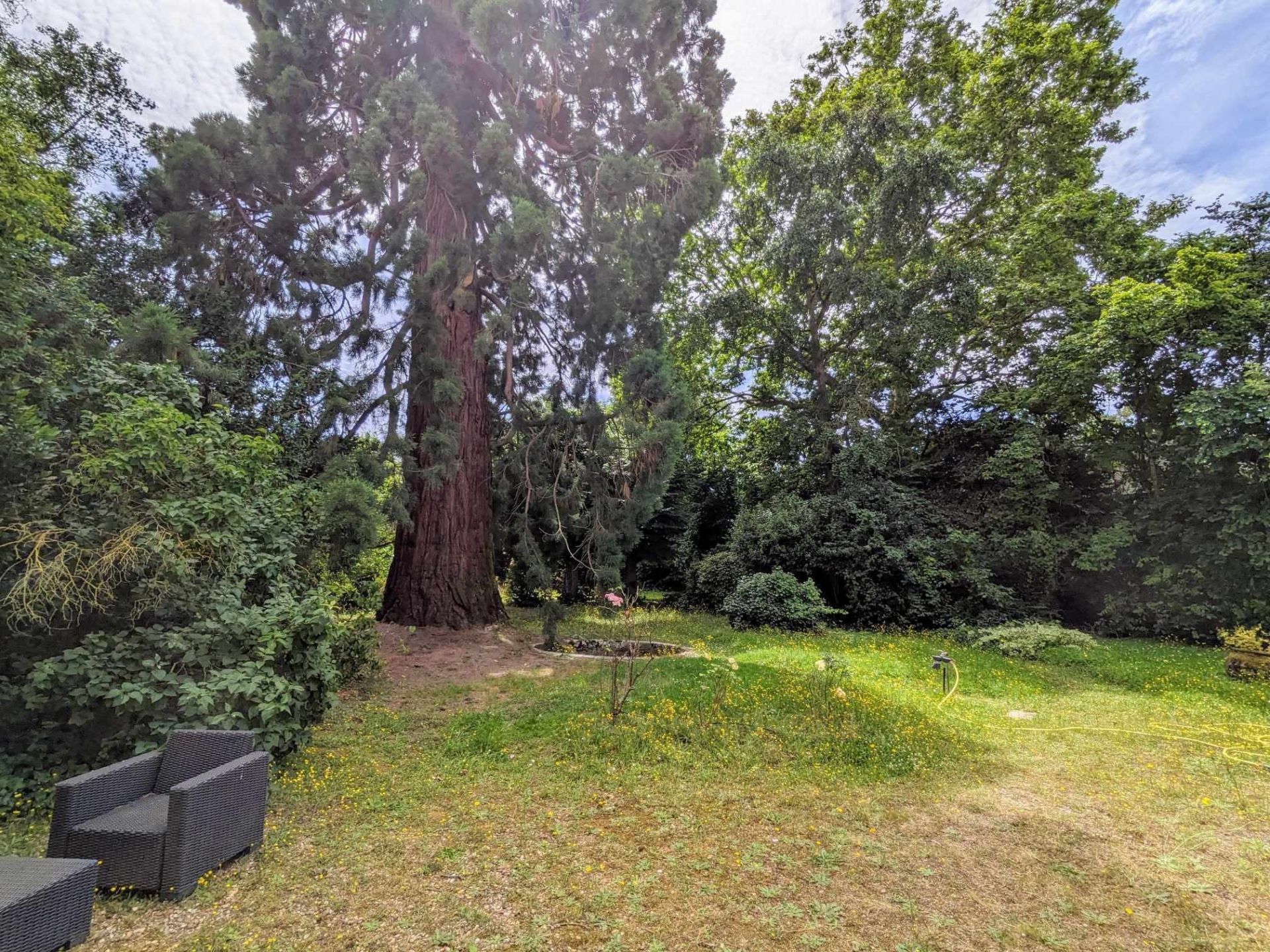 house 13 Rooms for sale on AMBOISE (37400)