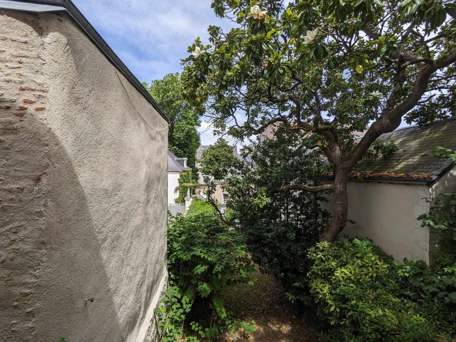 house 13 Rooms for sale on AMBOISE (37400)