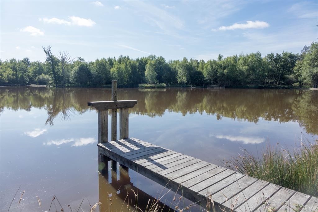 propriété de chasse 13 Pièces en vente sur ISDES (45620)