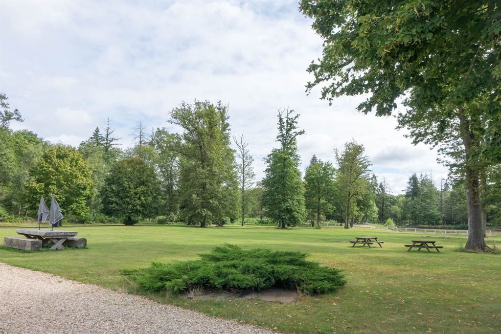 propriété de chasse 13 Pièces en vente sur ISDES (45620)