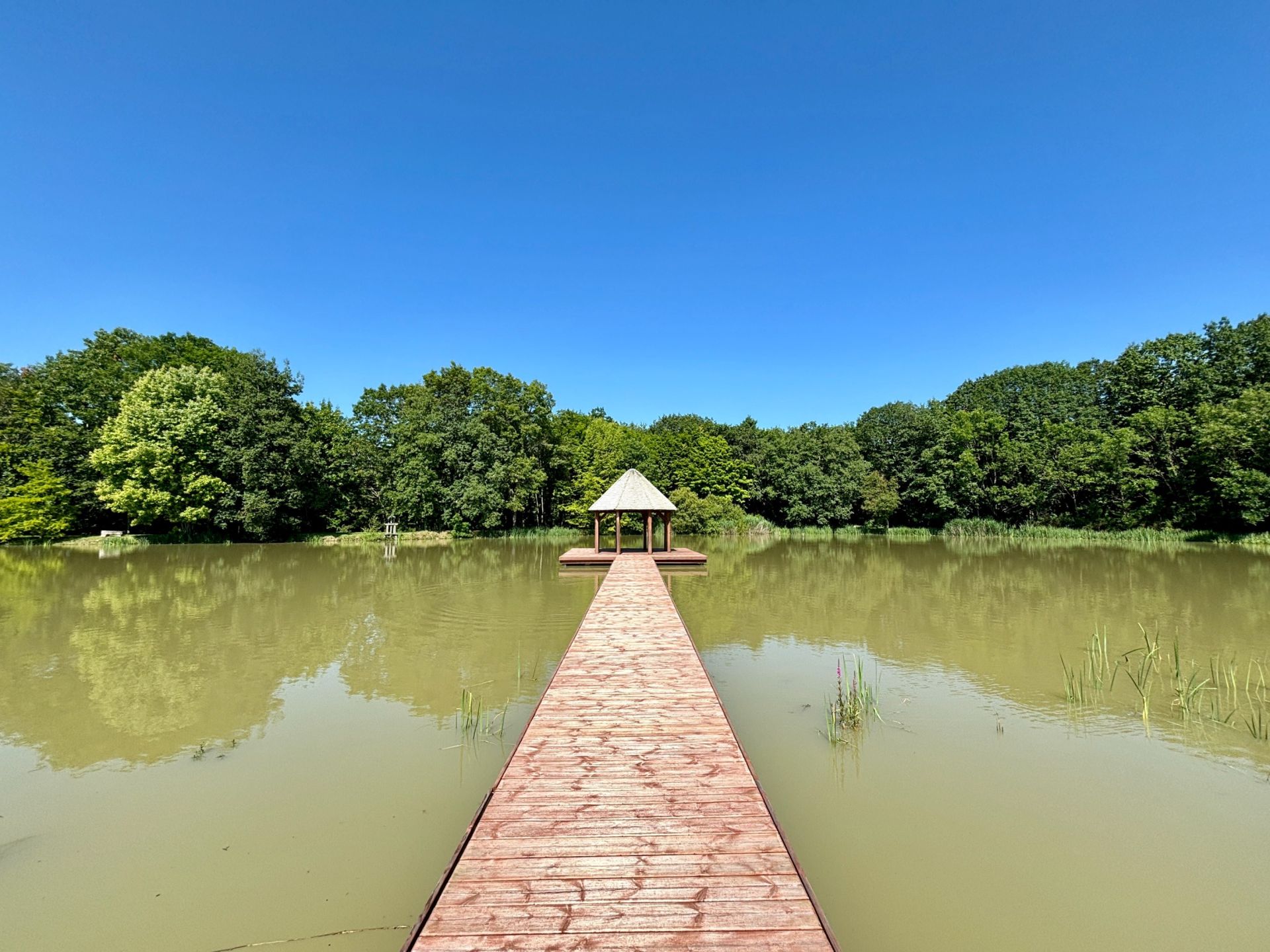 house 16 Rooms for sale on ST CYRAN DU JAMBOT (36700)