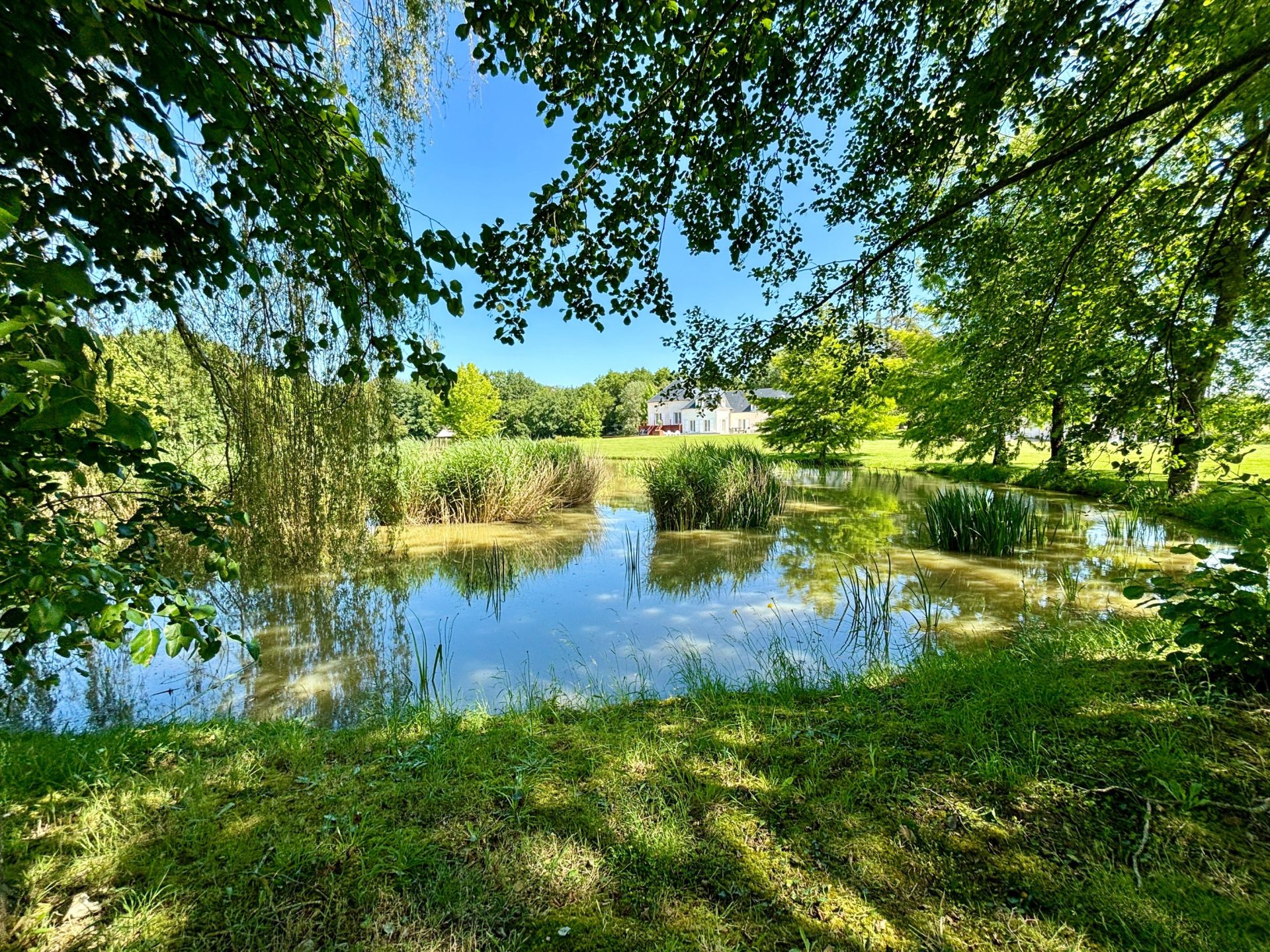 maison 16 Pièces en vente sur ST CYRAN DU JAMBOT (36700)