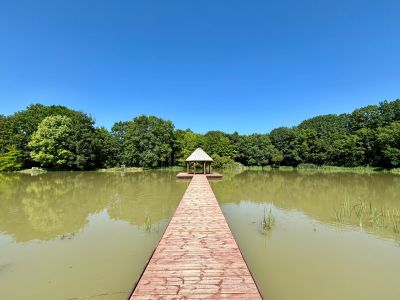 Sale House Saint-Cyran-du-Jambot 16 Rooms 640 m²