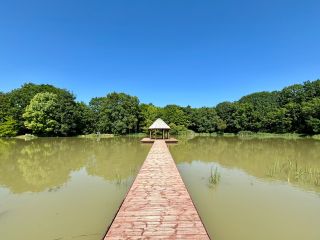 maison 16 Pièces en vente sur ST CYRAN DU JAMBOT (36700)