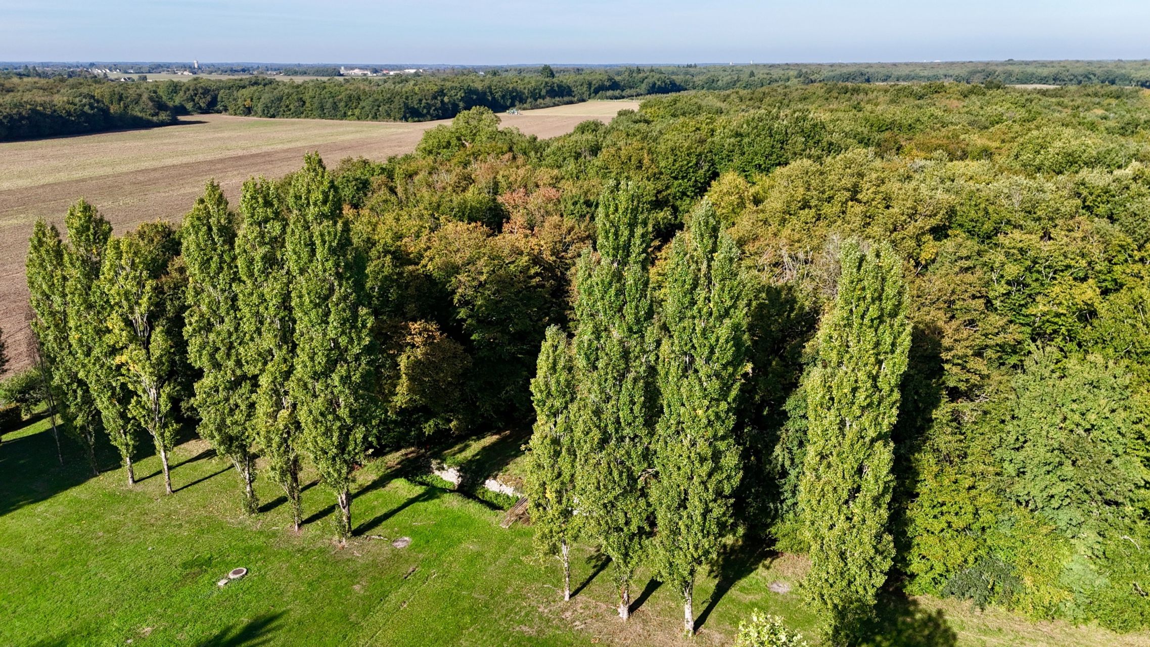 manoir 28 Pièces en vente sur TRUYES (37320)