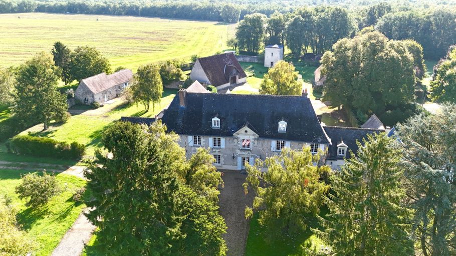 manoir 28 Pièces en vente sur TRUYES (37320)