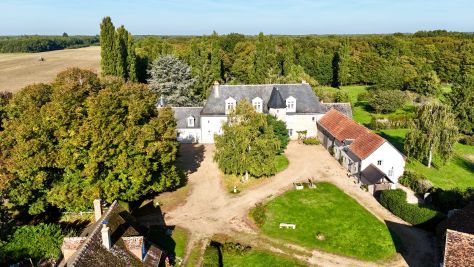 Vente Manoir Truyes 28 Pièces 794 m²