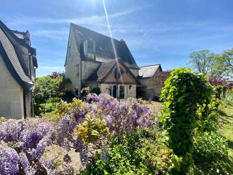 maison 16 Pièces en vente sur AVON LES ROCHES (37220)