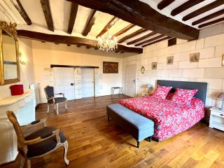 castle 25 Rooms for sale on CHINON (37500)