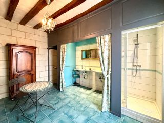 castle 25 Rooms for sale on CHINON (37500)