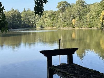 Vente Forêt La Ferté-Saint-Aubin 28&nbsp;ha