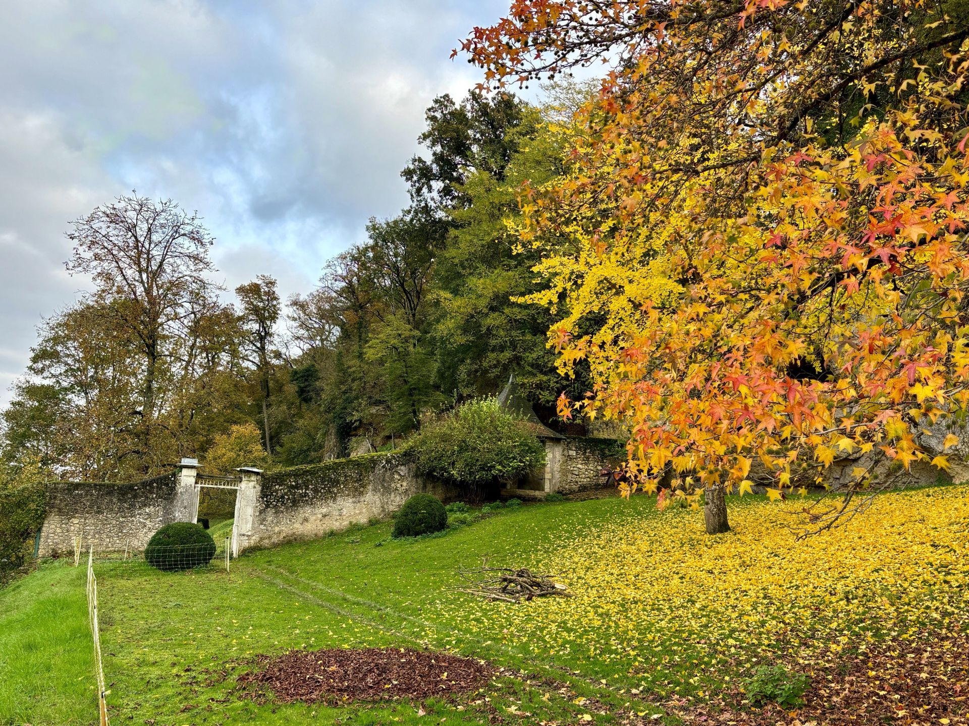 maison bourgeoise 14 Pièces en vente sur AMBOISE (37400)