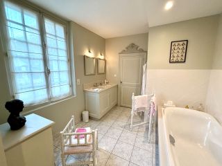 maison bourgeoise 14 Pièces en vente sur AMBOISE (37400)