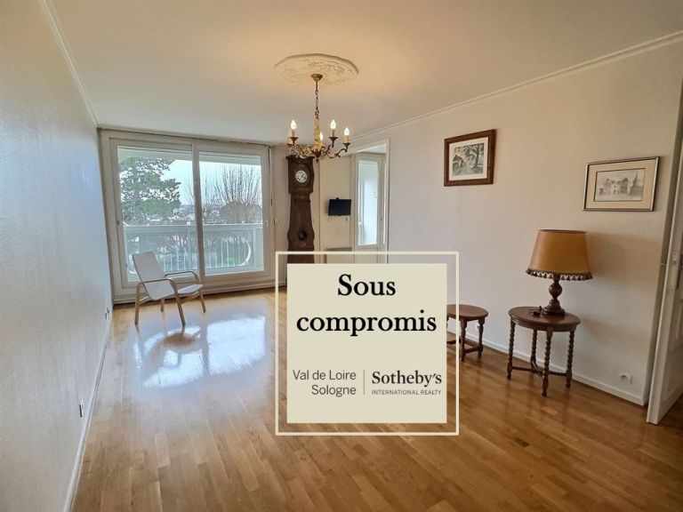apartment 3 Rooms for sale on ORLEANS (45000)