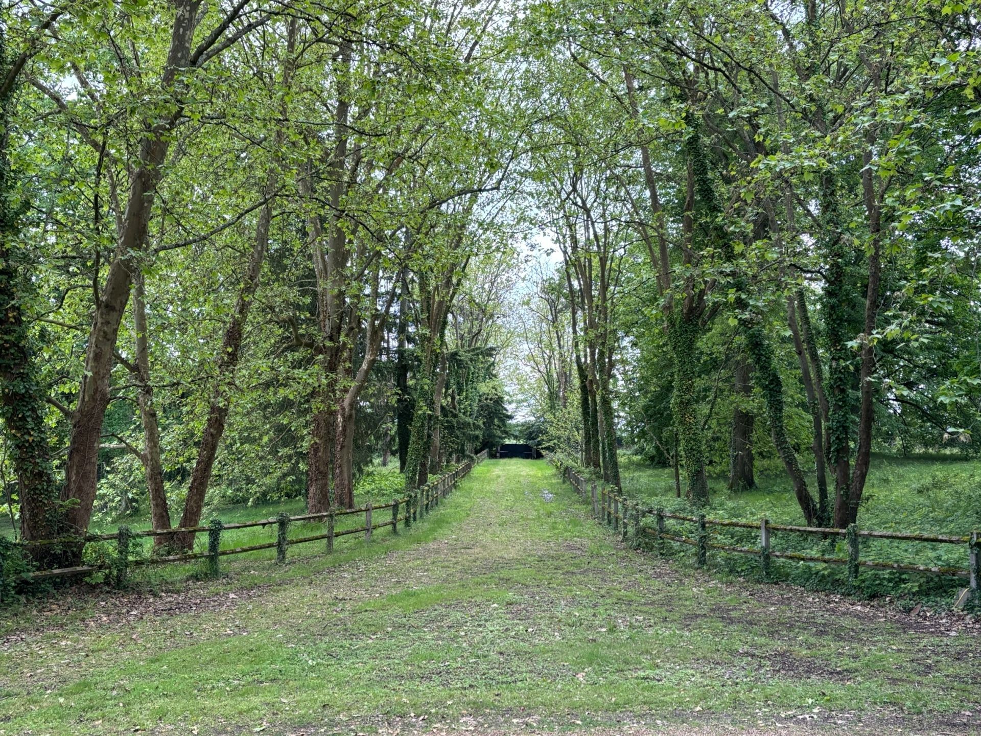 château 20 Pièces en vente sur TOURS (37000)
