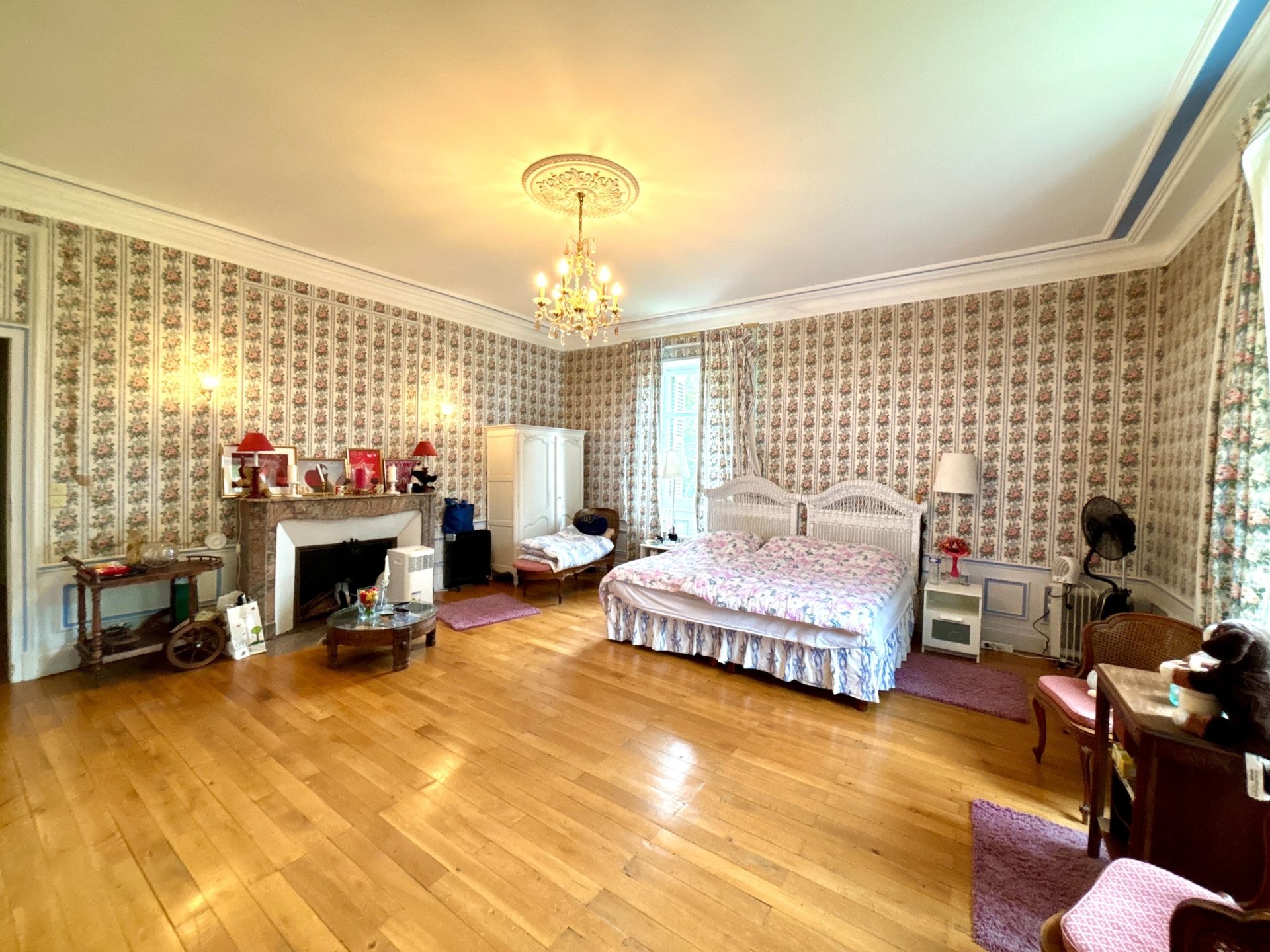 château 20 Pièces en vente sur TOURS (37000)