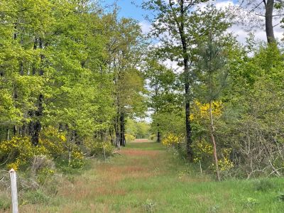 Vente Propriété de chasse Romorantin-Lanthenay 15&nbsp;Pièces 530&nbsp;m²