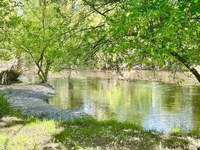 Vente Propriété de chasse Romorantin-Lanthenay 15 Pièces 530 m²