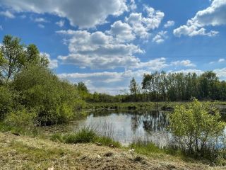 propriété de chasse 15 Pièces en vente sur ROMORANTIN LANTHENAY (41200)