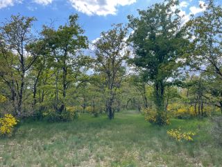 propriété de chasse 15 Pièces en vente sur ROMORANTIN LANTHENAY (41200)