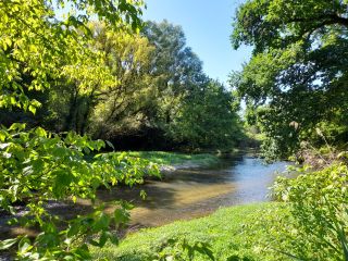 propriété de chasse 15 Pièces en vente sur ROMORANTIN LANTHENAY (41200)