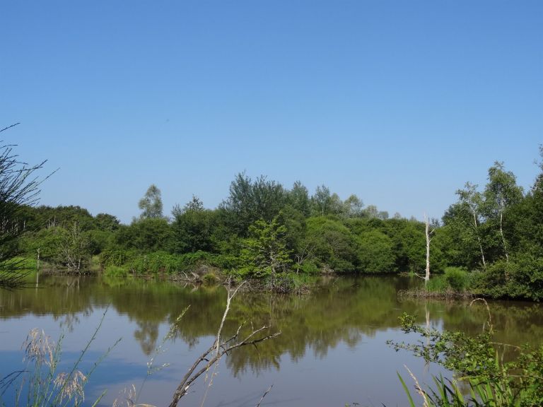 propriété de chasse 10 Pièces en vente sur SULLY SUR LOIRE (45600)