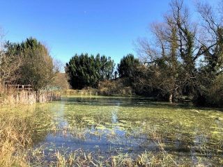 maison 8 Pièces en vente sur SURY AUX BOIS (45530)