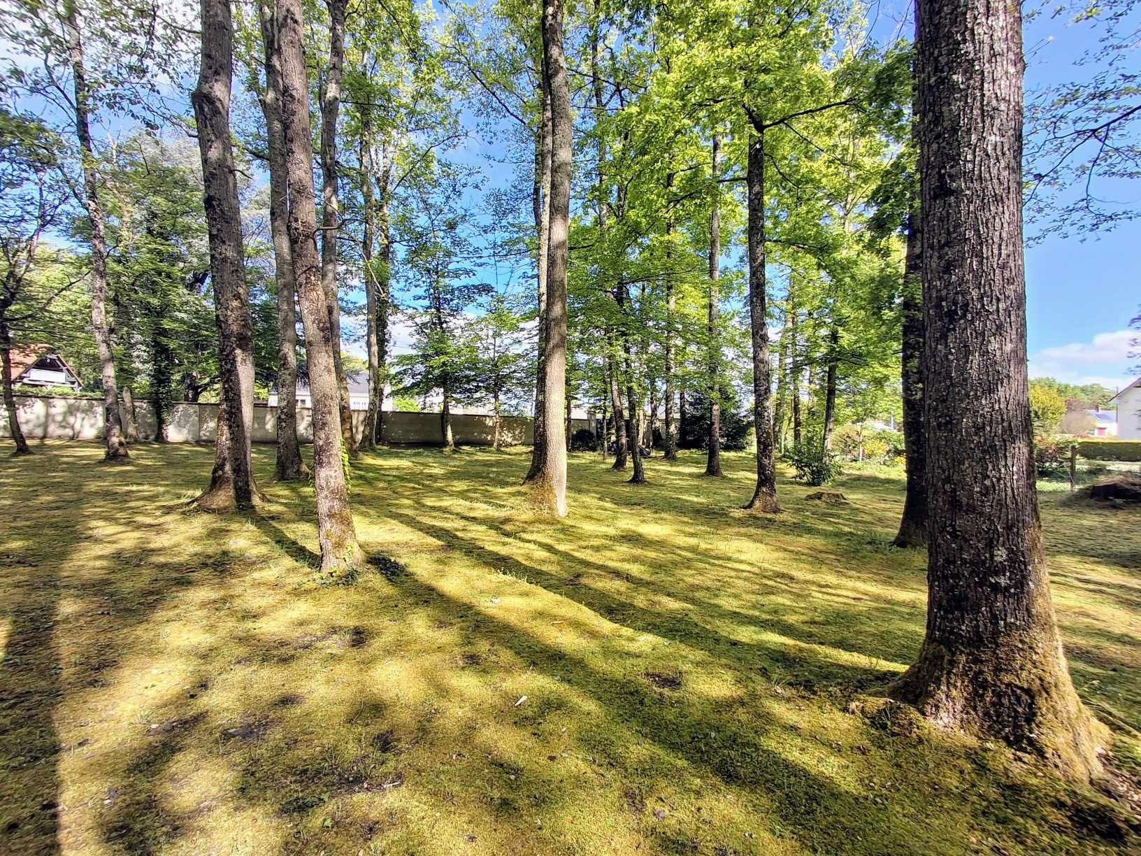 maison 7 Pièces en vente sur SAVONNIERES (37510)