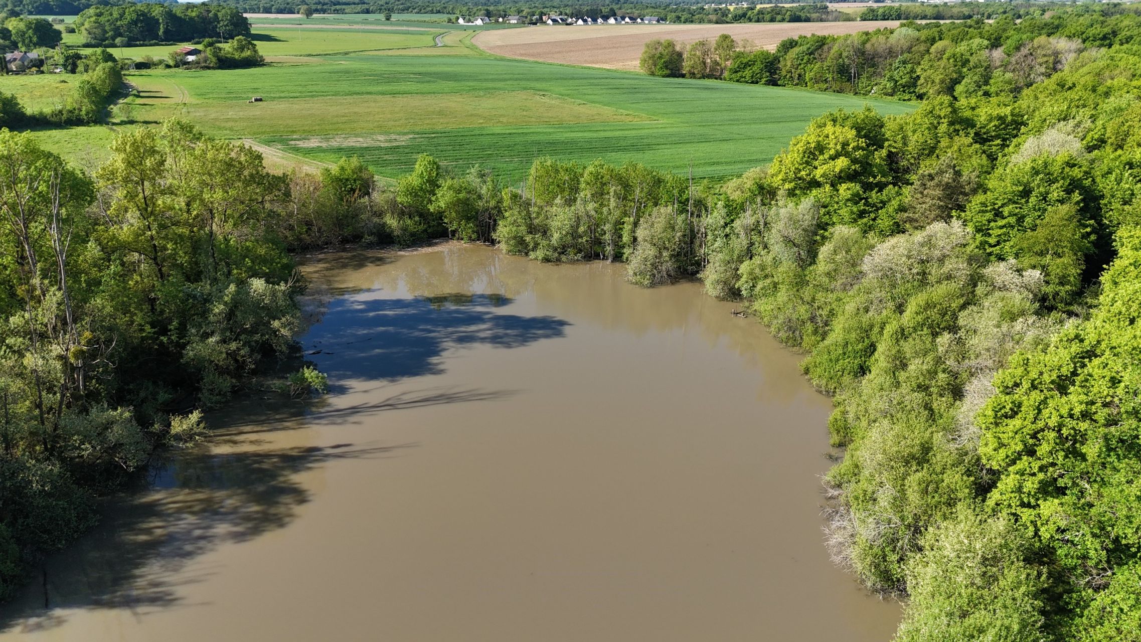 hunting estate 16 Rooms for sale on SACHE (37190)