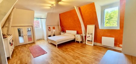 hunting estate 16 Rooms for sale on SACHE (37190)