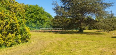 hunting estate 16 Rooms for sale on SACHE (37190)