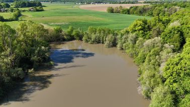 hunting estate 16 Rooms for sale on SACHE (37190)