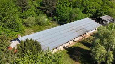 hunting estate 16 Rooms for sale on SACHE (37190)