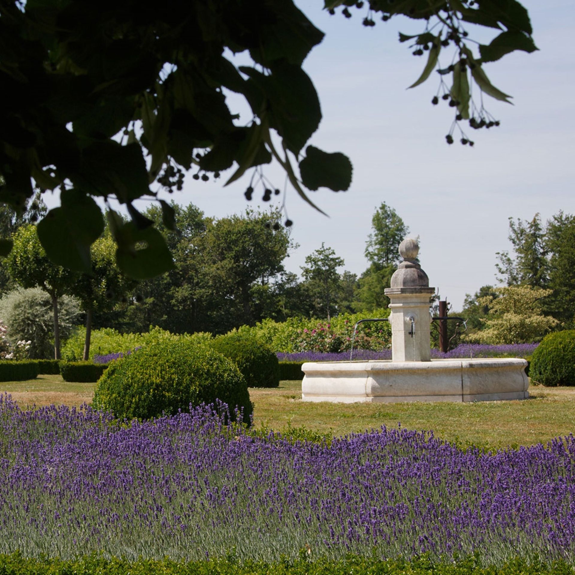 propriété 20 Pièces en vente sur TOUCY (89130)