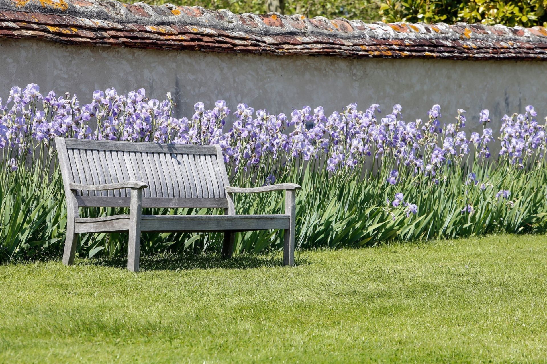 propriété 20 Pièces en vente sur TOUCY (89130)