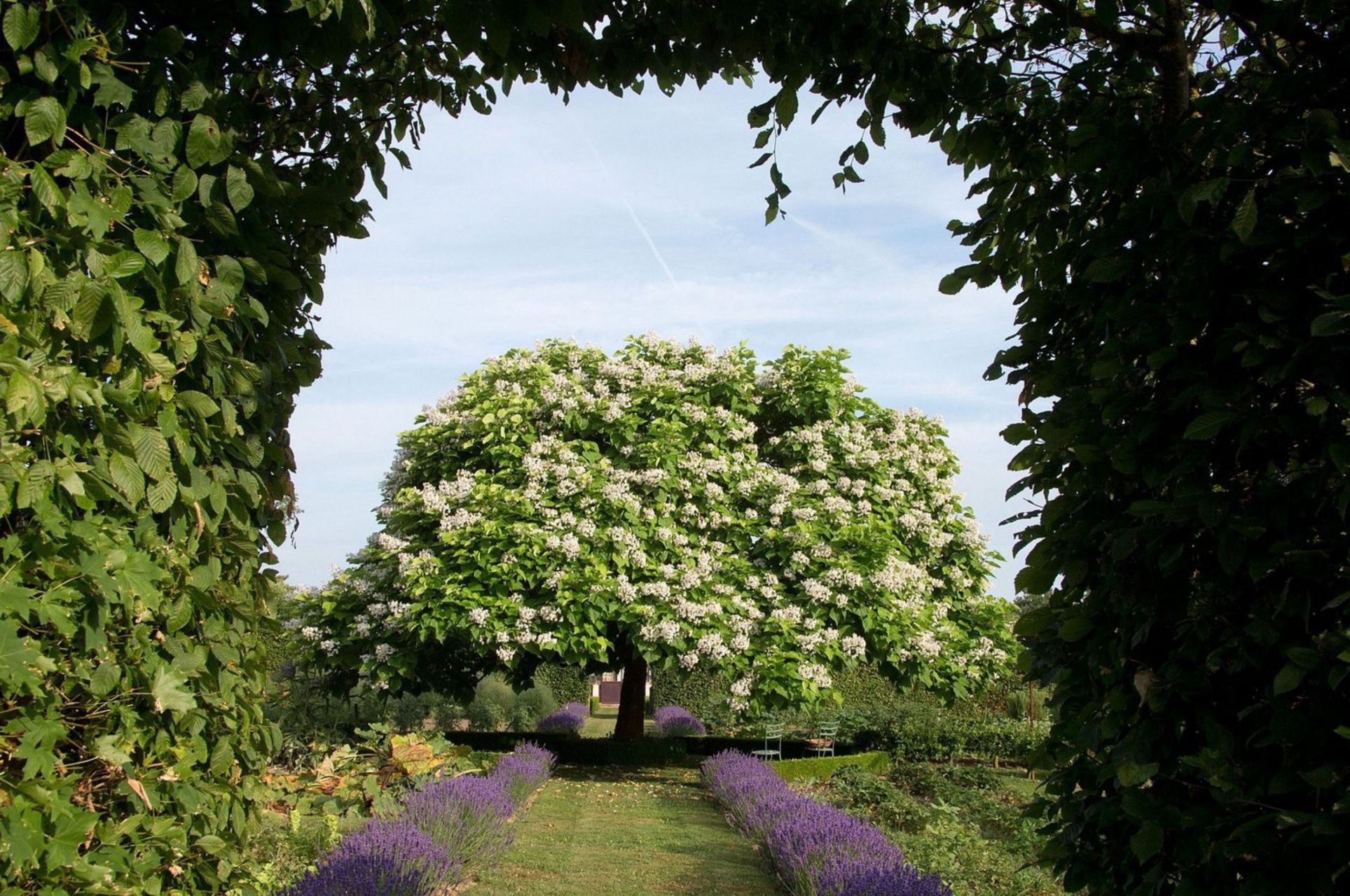 propriété 20 Pièces en vente sur TOUCY (89130)