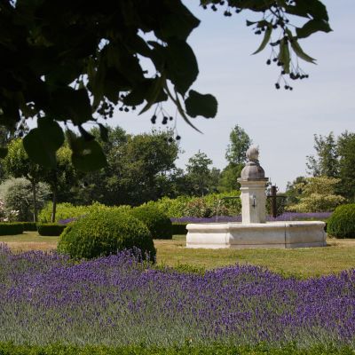 Vente Propriété Toucy 20 Pièces 1600 m²