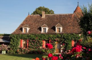 propriété 20 Pièces en vente sur TOUCY (89130)