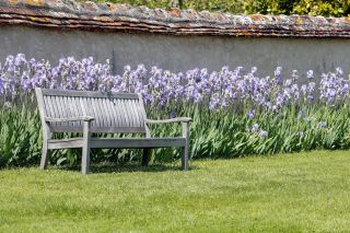 propriété 20 Pièces en vente sur TOUCY (89130)