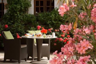 propriété 20 Pièces en vente sur TOUCY (89130)